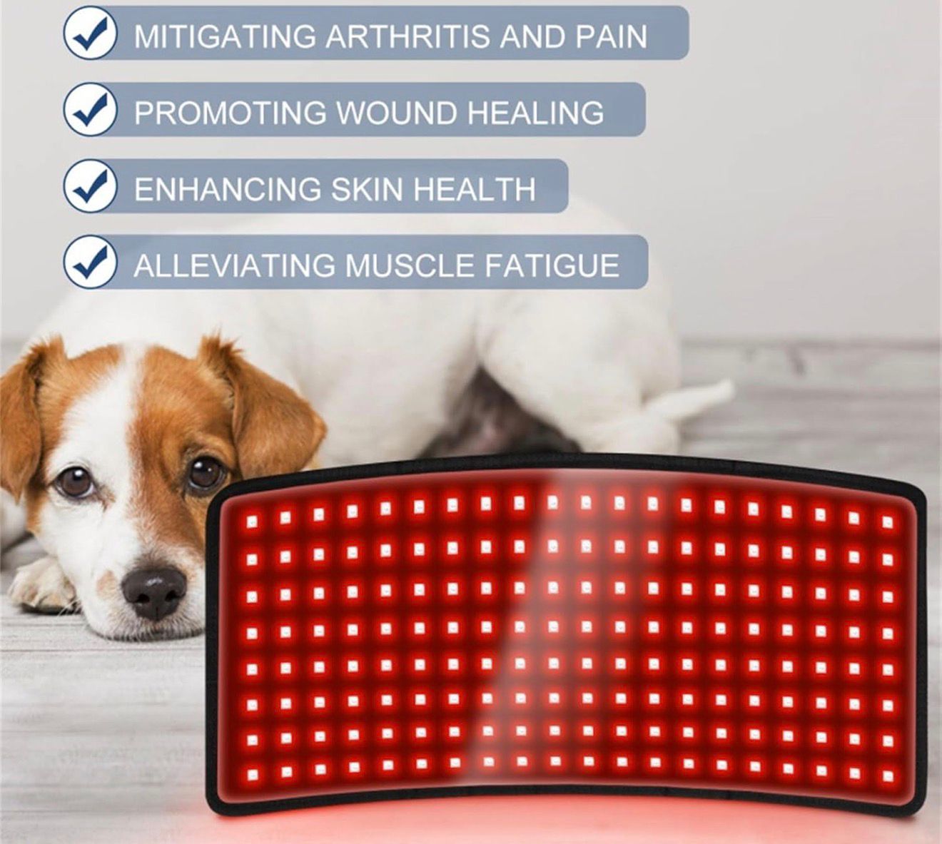 PETALITY's Red Light Belt for Dogs + The Petality Prevention Protocol
